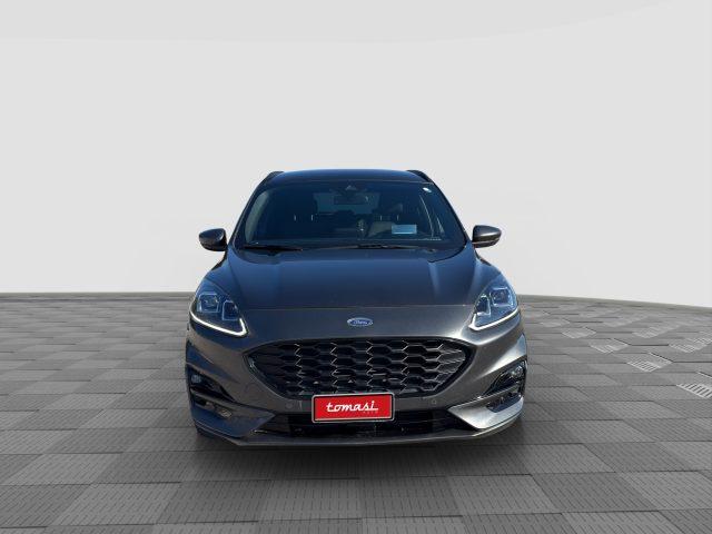 FORD Kuga Kuga 1.5 EcoBlue 120 CV aut. 2WD ST-Line