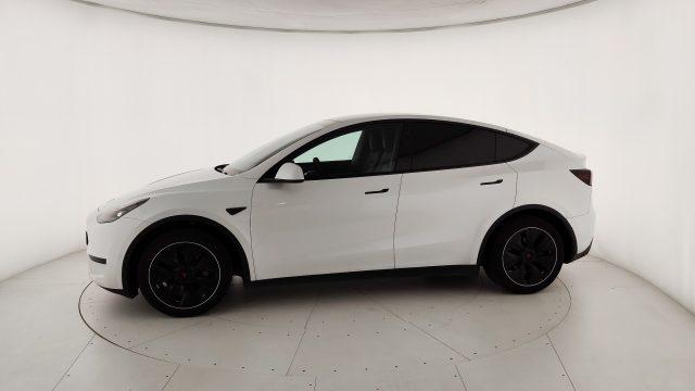 TESLA Model Y RWD