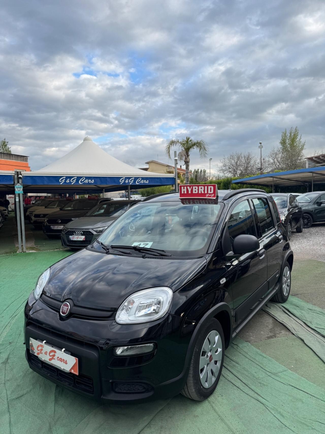 Fiat Panda 1.0 FireFly S&S Hybrid