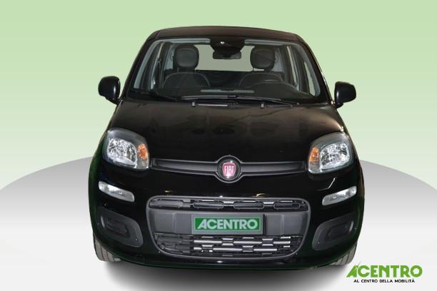 FIAT PANDA - PANDA 1.0 70CV HYBRID ICON