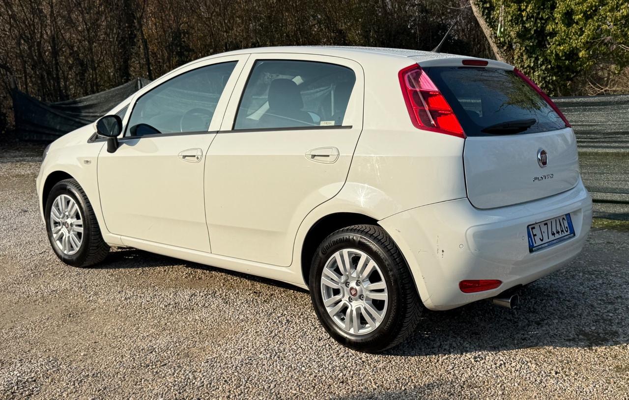 Fiat Punto 1.4 8V 5 porte Easypower Street