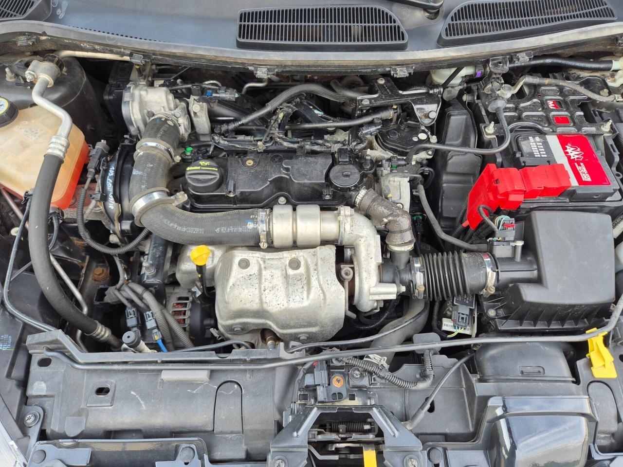 Ford Fiesta 1.4 TDCi 70CV 3 porte