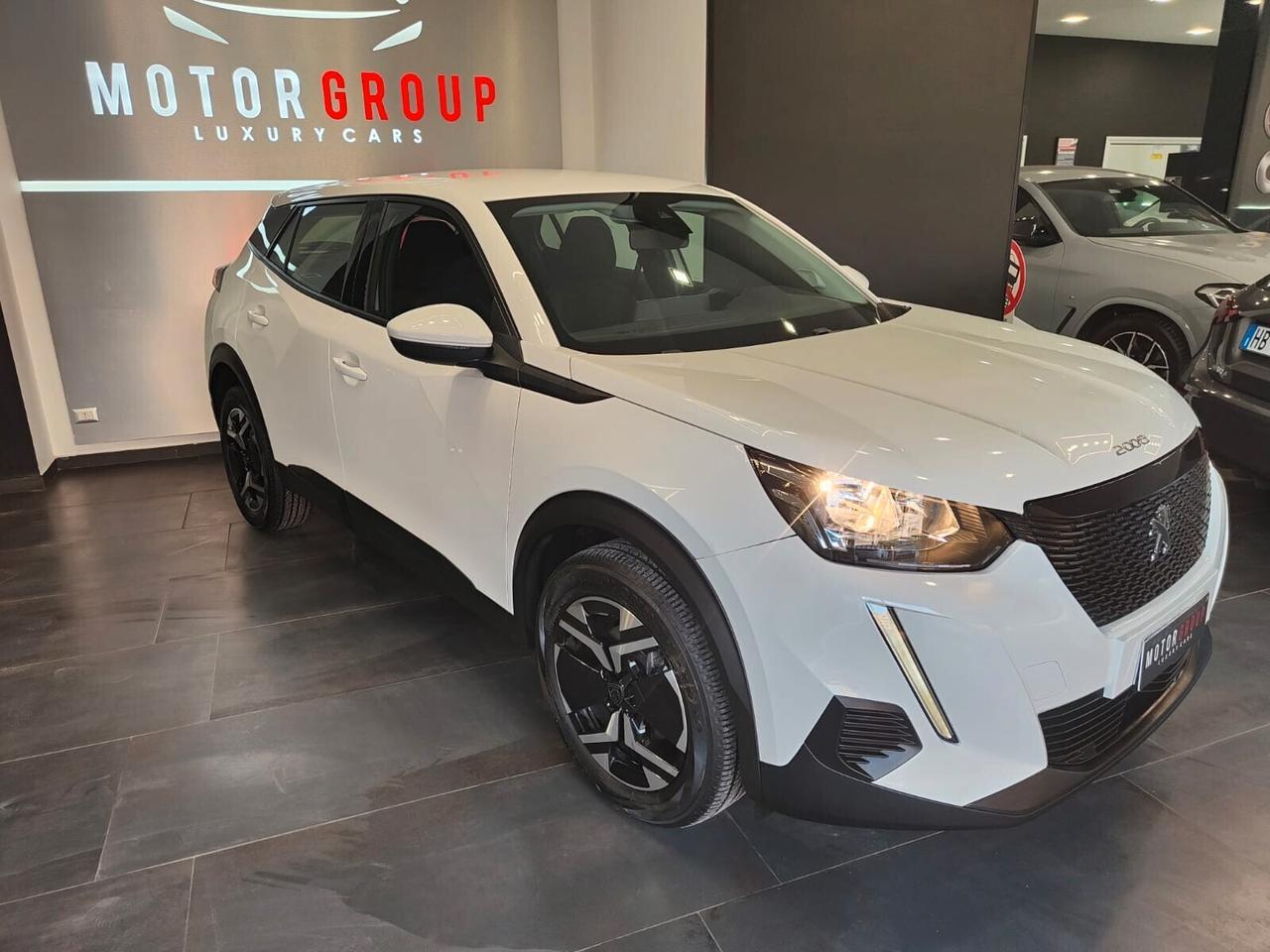 Peugeot 2008 1.5 BlueHDi 110 S&S Active