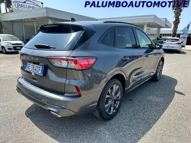 FORD Kuga 1.5 EcoBlue 120 CV 2WD ST-Line