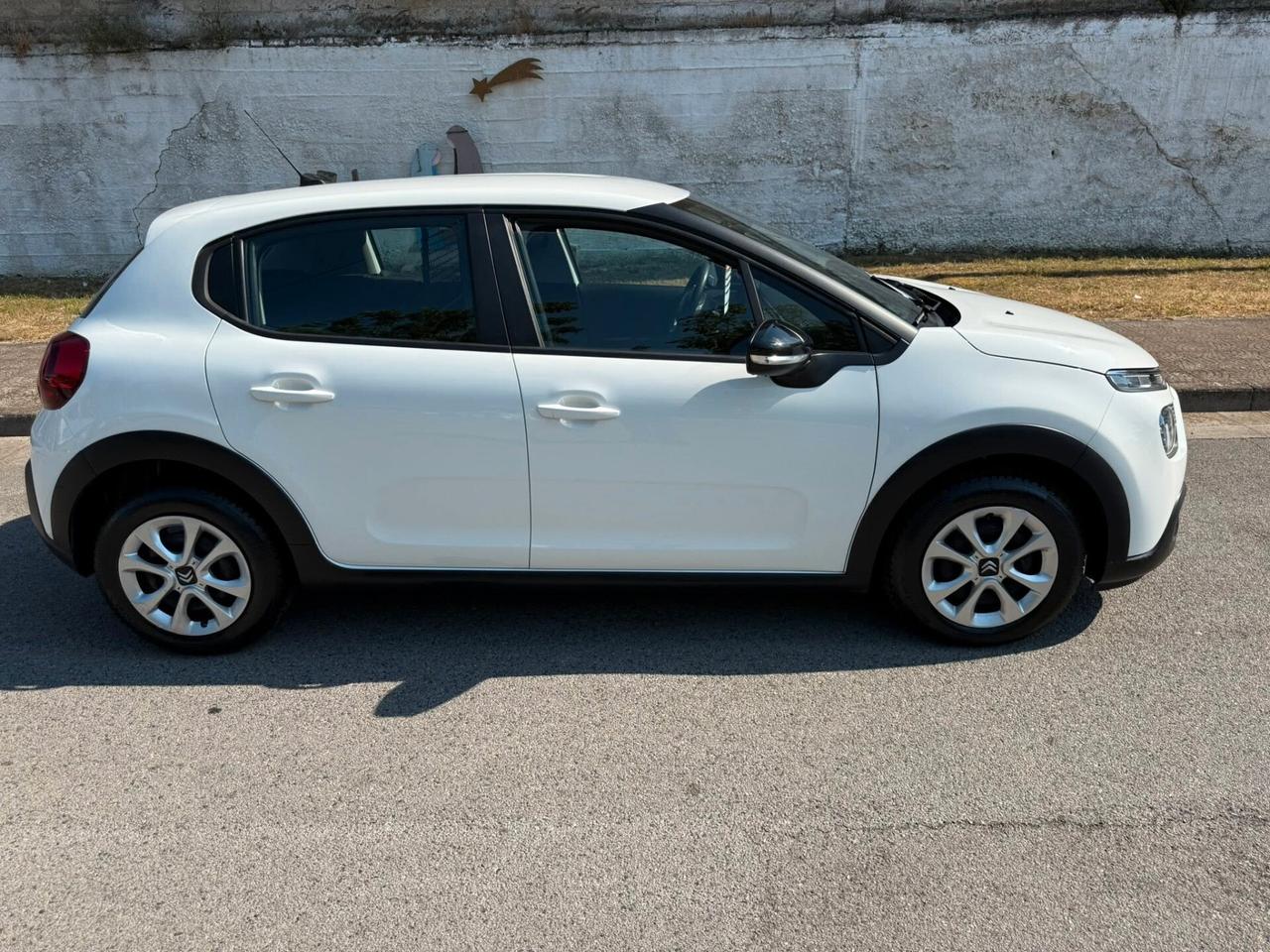 Citroen C3 BlueHDi 100 S&S Van 2 posti
