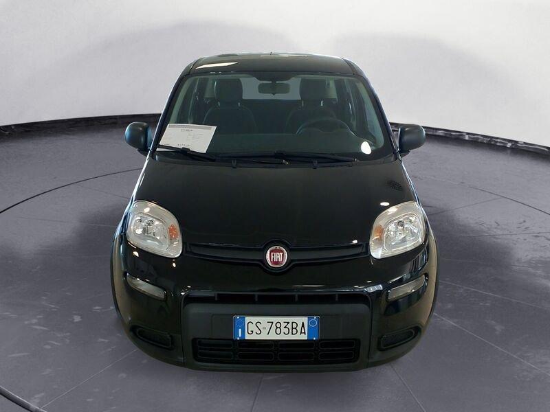 FIAT Panda 3ª serie 1.0 FireFly S&S Hybrid