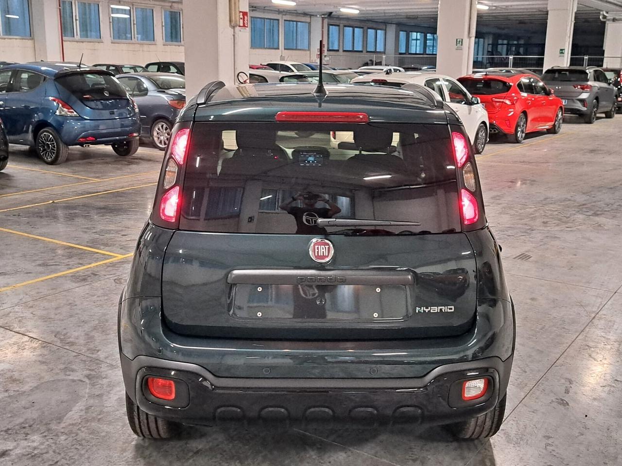 Fiat Panda 1000 FireFly Hybrid 70CV Pandina Km. 0