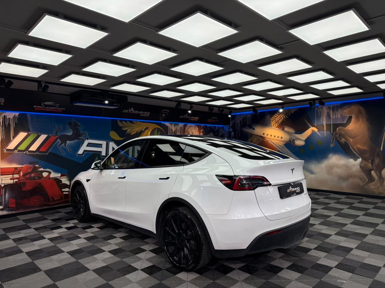 Tesla Model Y Long Range AWD (892)
