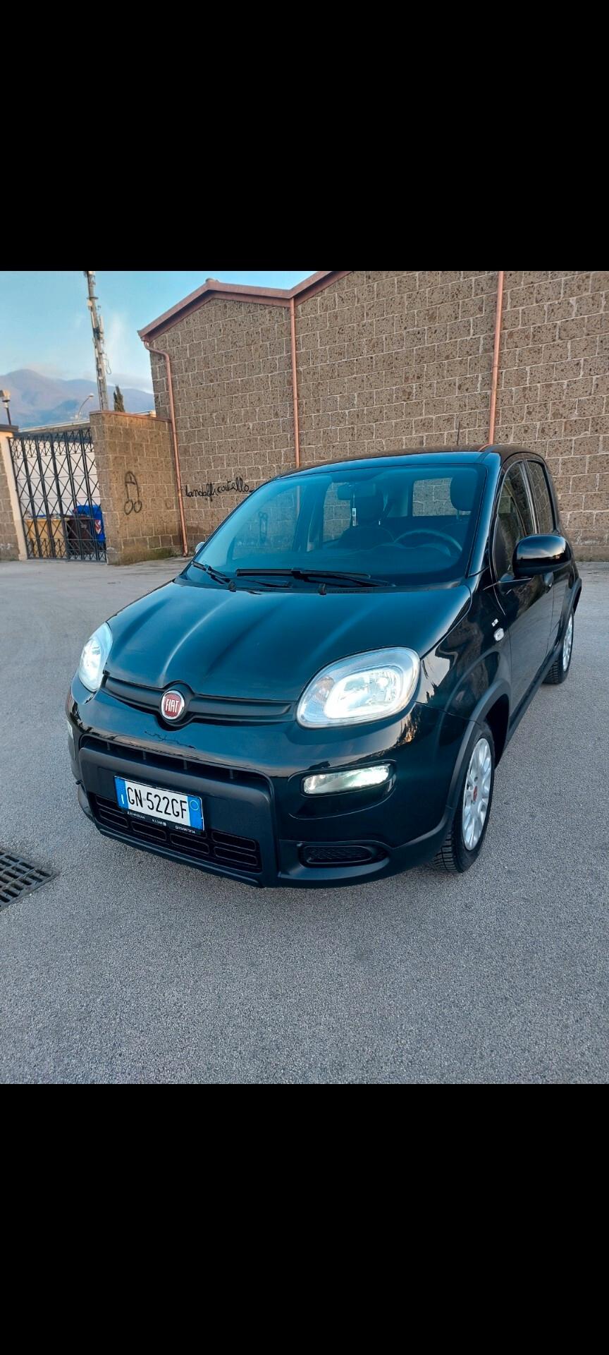 Fiat Panda 1.2 benzina GPL 78 mila km 2023 prov nord Italia