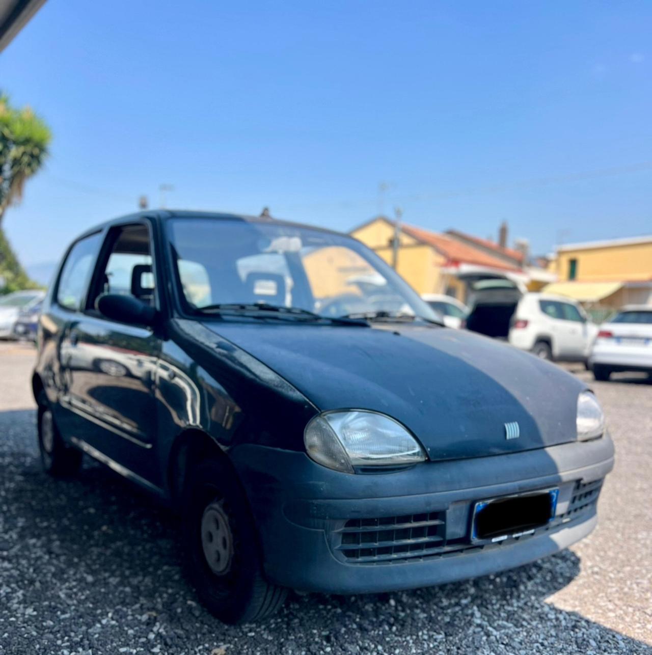 Fiat Seicento 900i cat Young