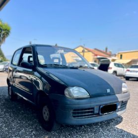 Fiat Seicento 900i cat Young