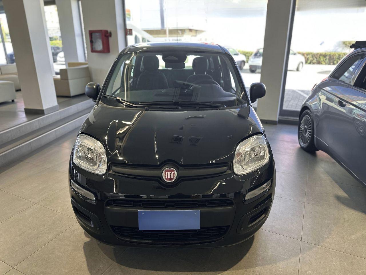 FIAT Pandina III 2024 - Pandina 1.0 firefly hybrid Pop s&s 70cv