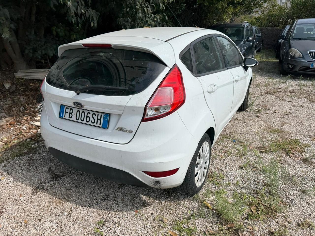 Ford Fiesta 1.5 Tdci 75cv 5P Motore rotto