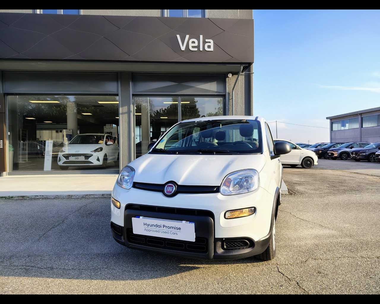 FIAT Panda III 2021 - Panda 1.0 firefly hybrid s&s 70cv