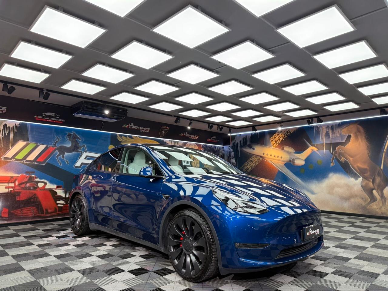 Tesla Model Y AWD Performance (265)