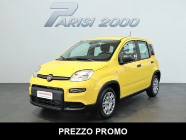 FIAT Panda 1.0 FireFly S&S Hybrid new version 2024