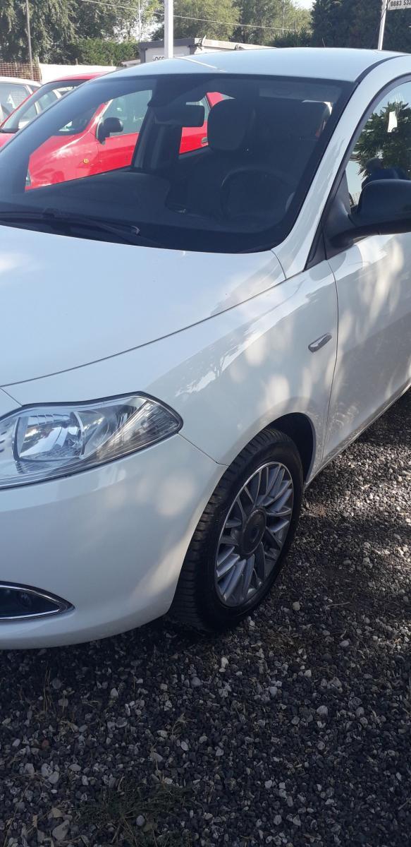 LANCIA - Ypsilon - 1.3 MJT 16V 95 CV 5p. S&S Gold