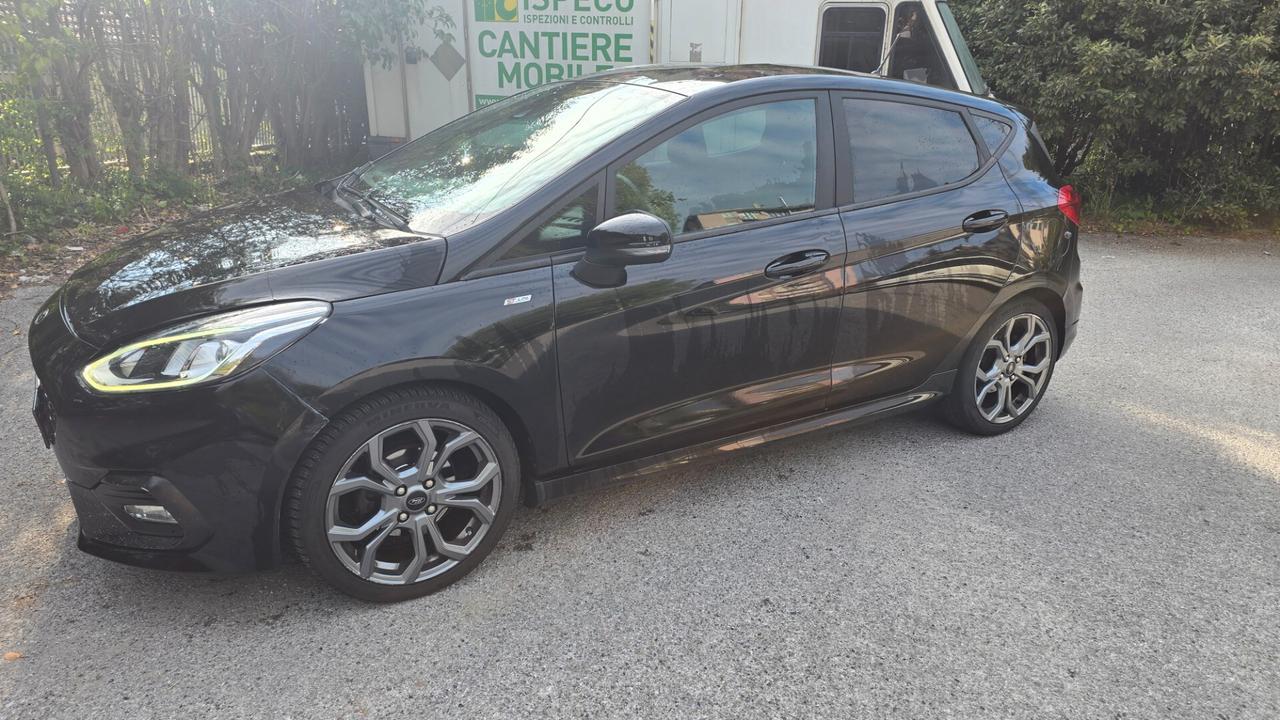 Ford Fiesta 1.5 EcoBlue 5 porte ST-Line