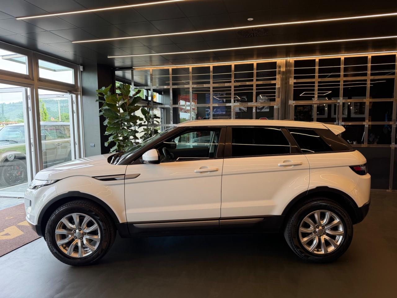 Land Rover Range Evoque 2.2 TD4 5p. Pure