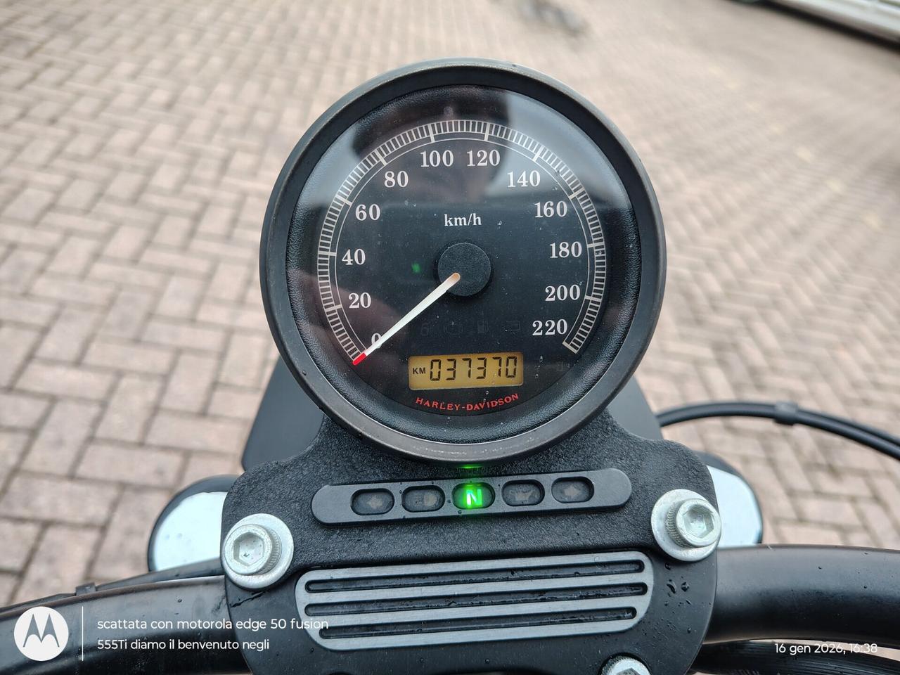 Harley-davidson 883 Sportster R PERMUTA