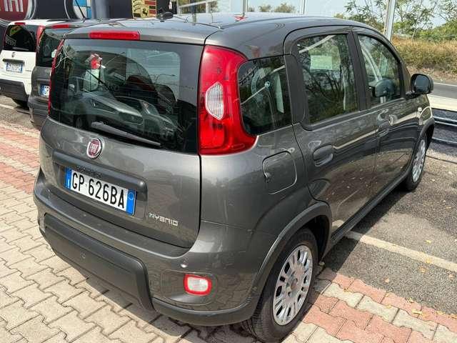 Fiat Panda Panda 1.0 firefly hybrid DISPONIBILI VARI COLORI