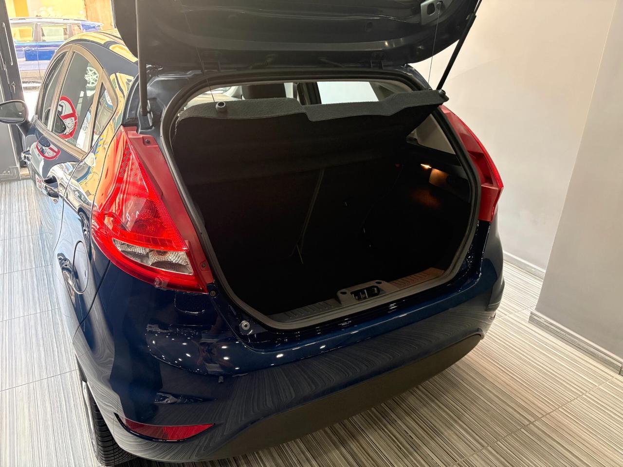 Ford Fiesta 1.4 TDCI 70cv Ikon Business
