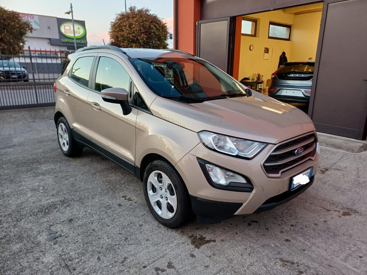 Ford EcoSport 1.5 Ecoblue 100 CV S&S Business