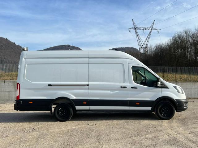 FORD Transit 350 2.0TDCi EcoBlue 170CV PL-SL-TA Jumbo Trend