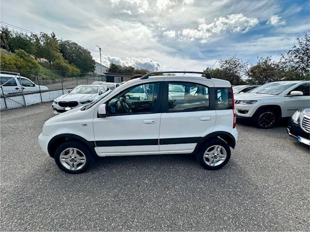 Fiat Panda 1.3 MJT 4X4 Climbing