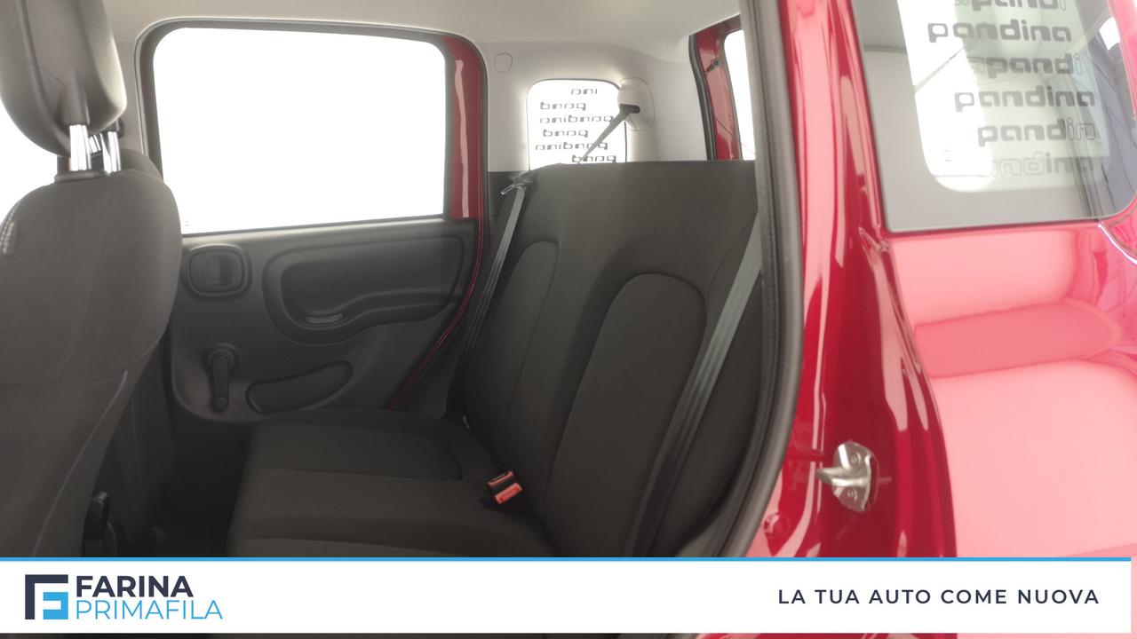 FIAT Panda III 2021 - Panda 1.0 firefly hybrid Pop s&s 70cv
