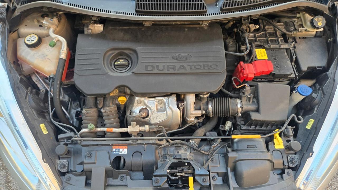 Ford Fiesta 1.5 TDCi 75CV 5 porte Titanium Neopatentati