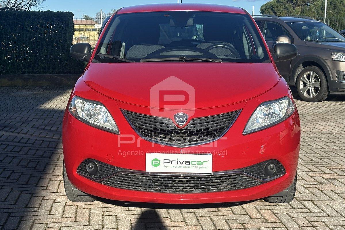 LANCIA Ypsilon 1.2 69 CV 5 porte Elefantino