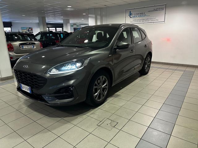 FORD Kuga 1.5 EcoBlue 120 CV 2WD ST-Line