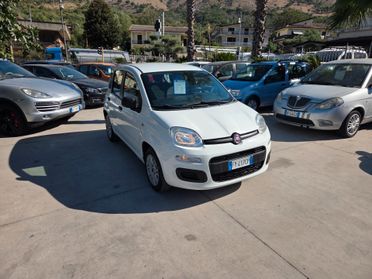 Fiat Panda 1.2 BENZINA 69 CV - 2019 PERFETTA