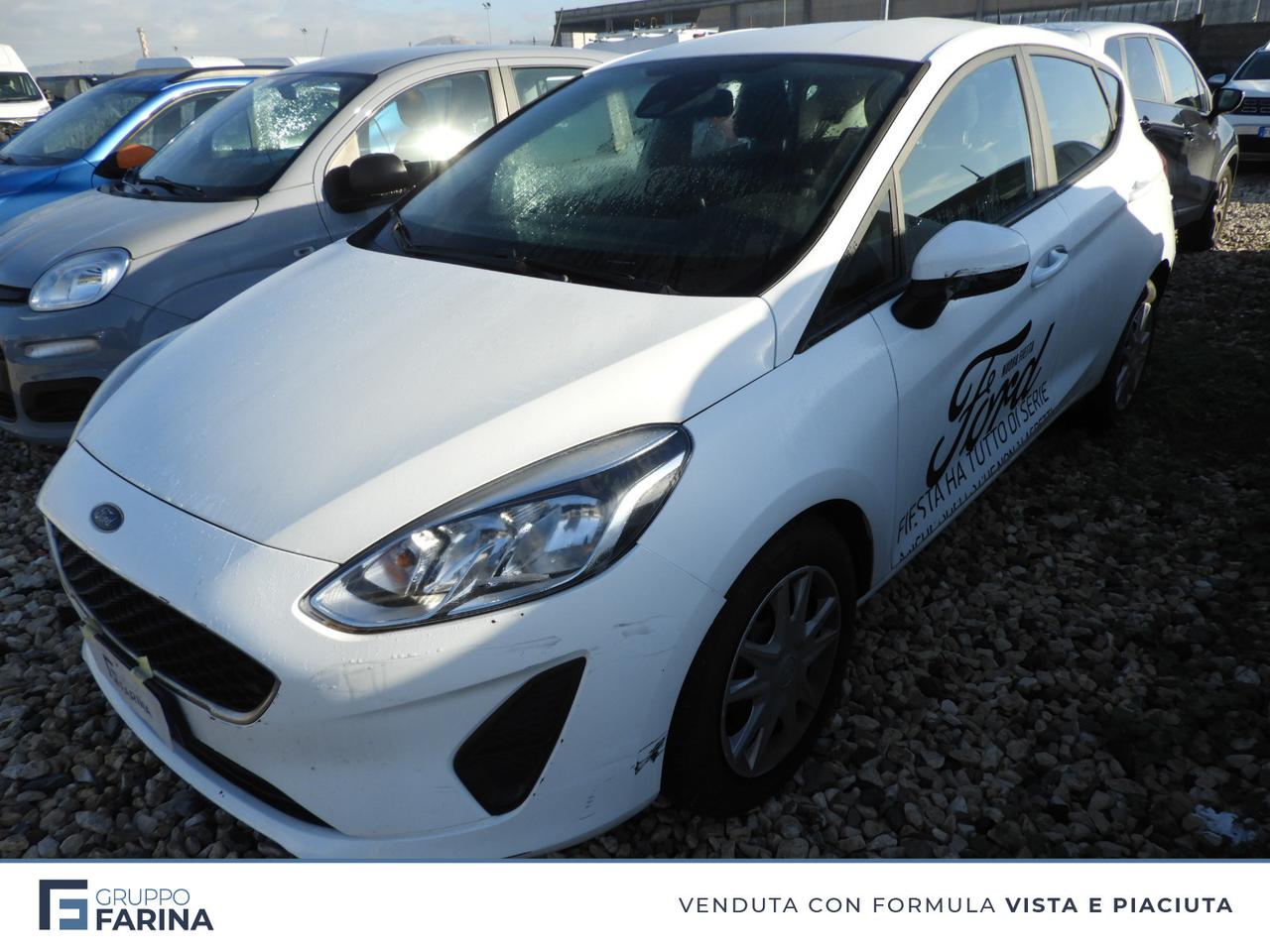 FORD Fiesta VII 2017 5p - Fiesta 5p 1.5 ecoblue (tdci) Plus 85cv my19