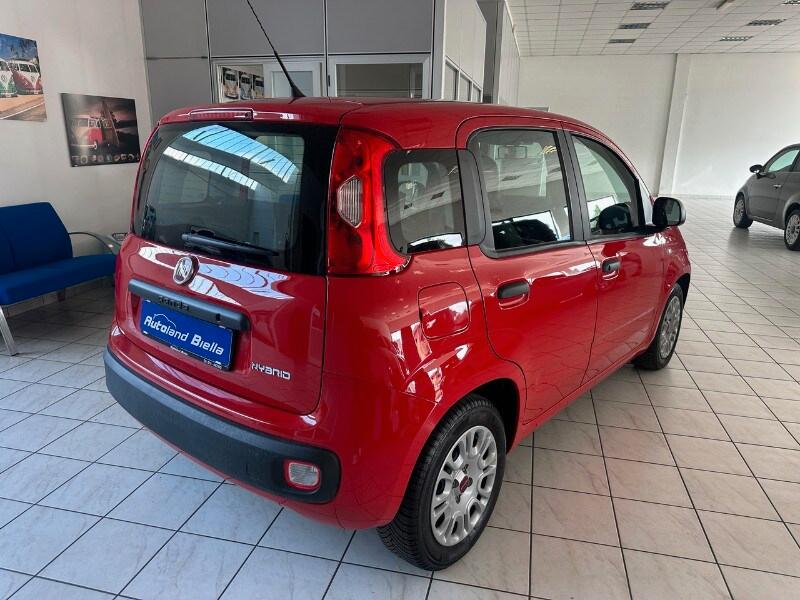 FIAT Panda 3ª serie Panda 1.0 FireFly S&S Hybrid
