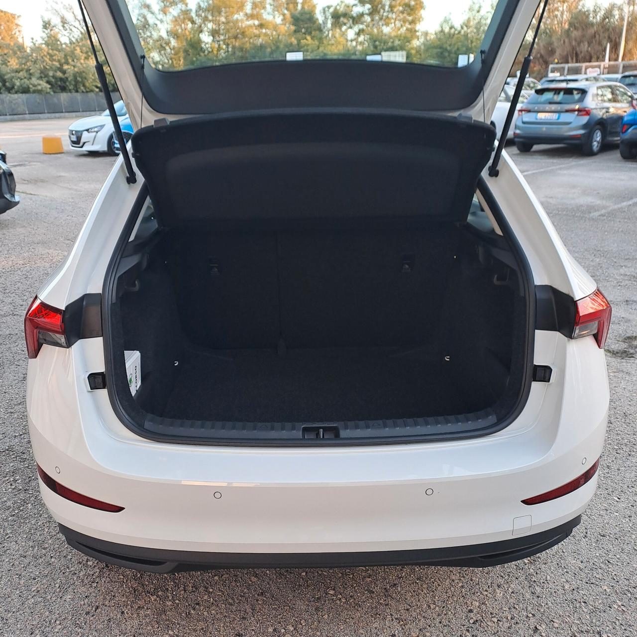 Skoda Scala 1.0 Tsi 110Cv Ambition