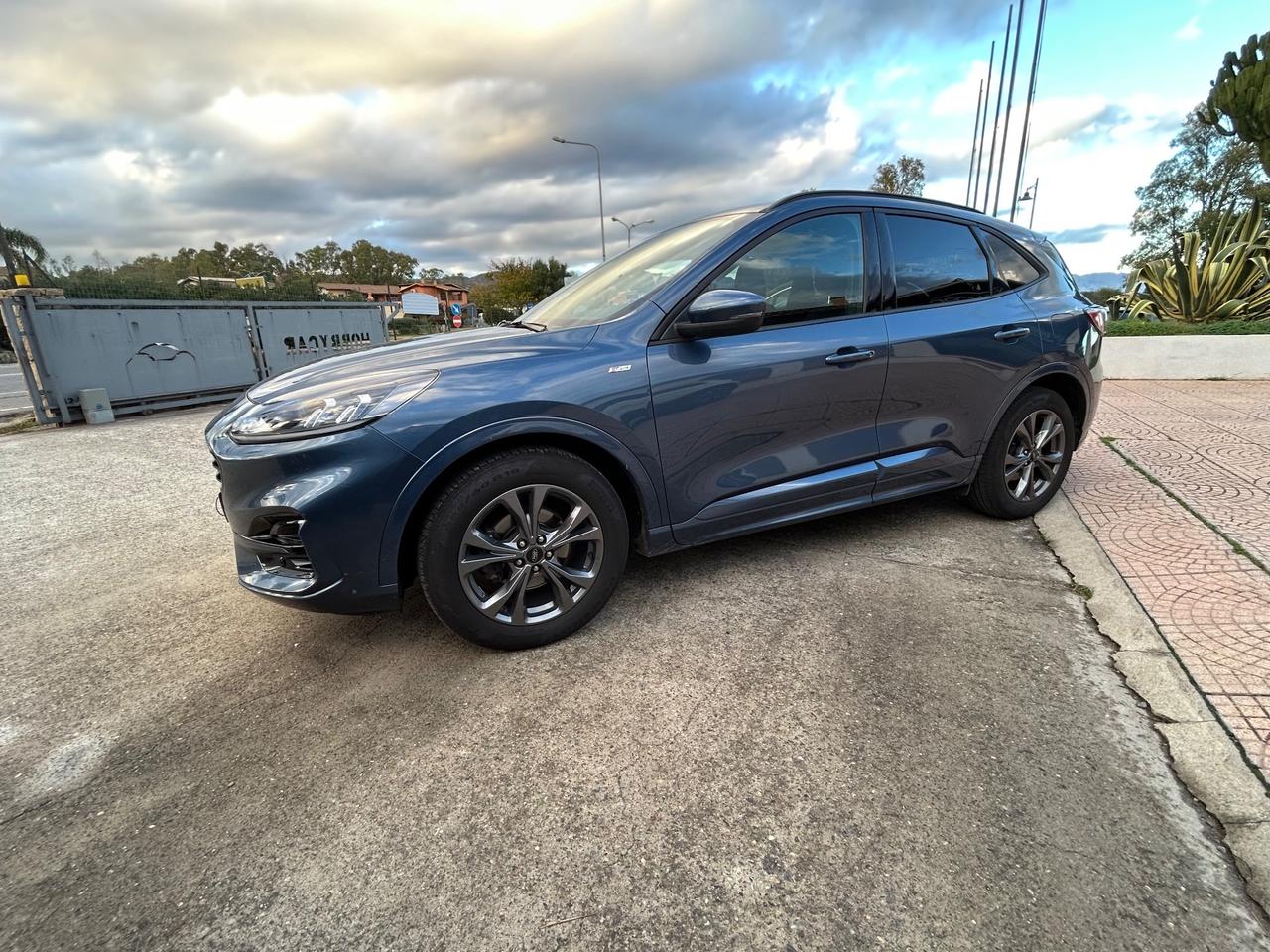 Ford Kuga 1.5 EcoBlue 120 CV aut. 2WD ST-Line