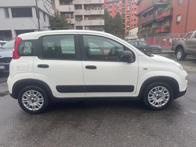 FIAT Panda 1.0 GSE S&S Hybrid Street (AUTOCARRO N1)