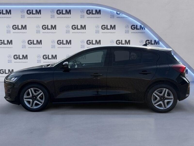 Ford Focus Focus 1.5 EcoBlue 120 CV automatico 5p. Business Co-Pilot