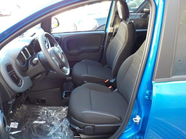 FIAT Panda MY25 - 1.0 FireFly Hybrid ICON