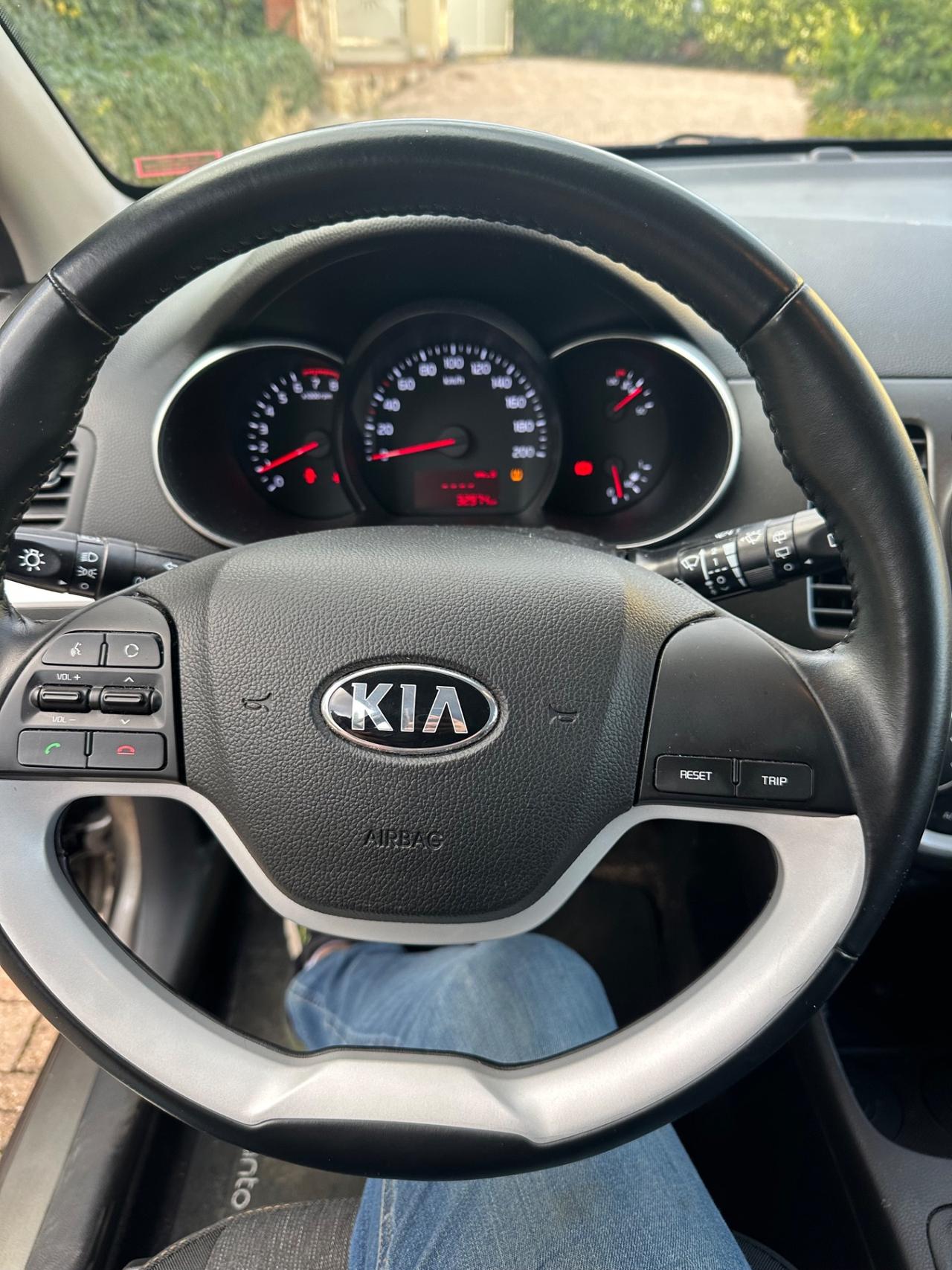 Kia Picanto 1.0 12V 5 porte Active Collection