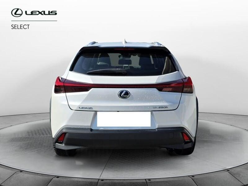 Lexus UX UX Hybrid Business
