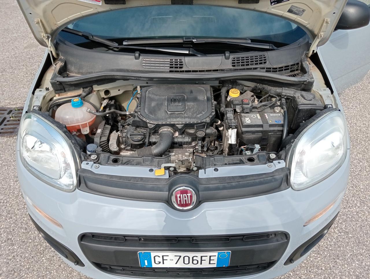 Fiat Panda 1.0 70CV Hybrid OK NEOPATENTATI