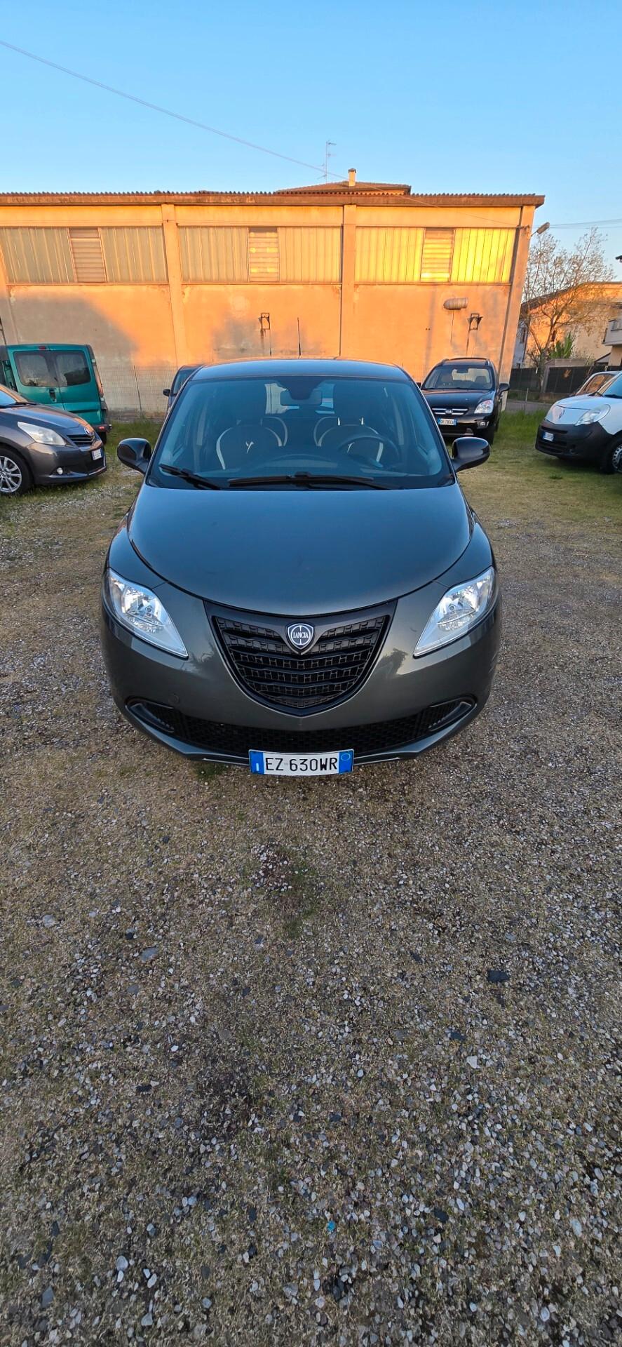 Lancia Ypsilon 1.3 MJT 16V 95 CV 5 porte S&S Elefantino