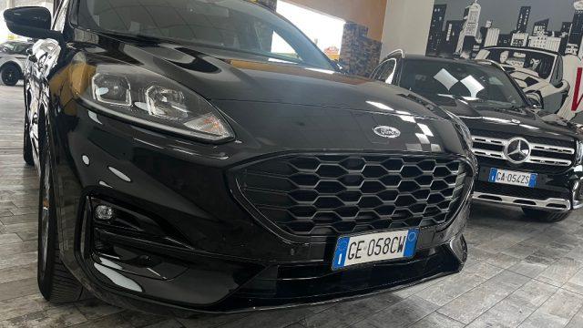 FORD Kuga 1.5 EcoBlue 120 CV 2WD ST-Line