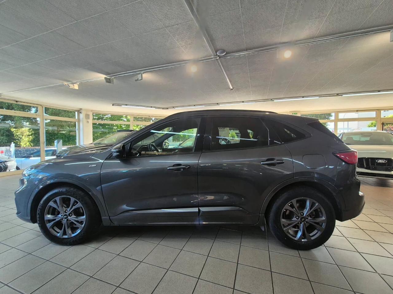 Ford Kuga 1.5 EcoBlue 120 CV 2WD ST-Line