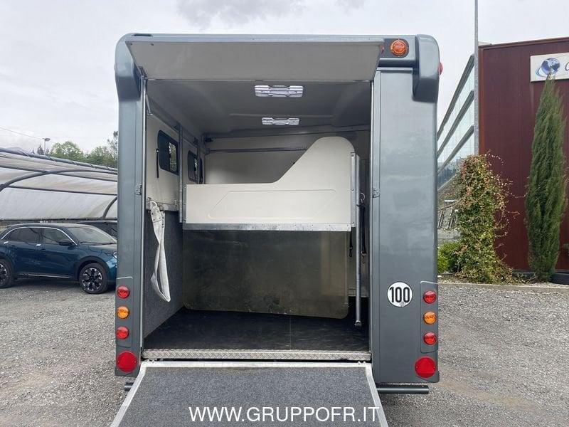 Trailer Steinsberger Steinsberger TRASPORTO CAVALLI