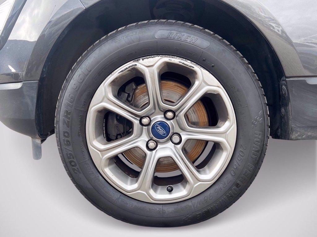 FORD EcoSport 1.0 ecoboost Plus 100cv del 2019