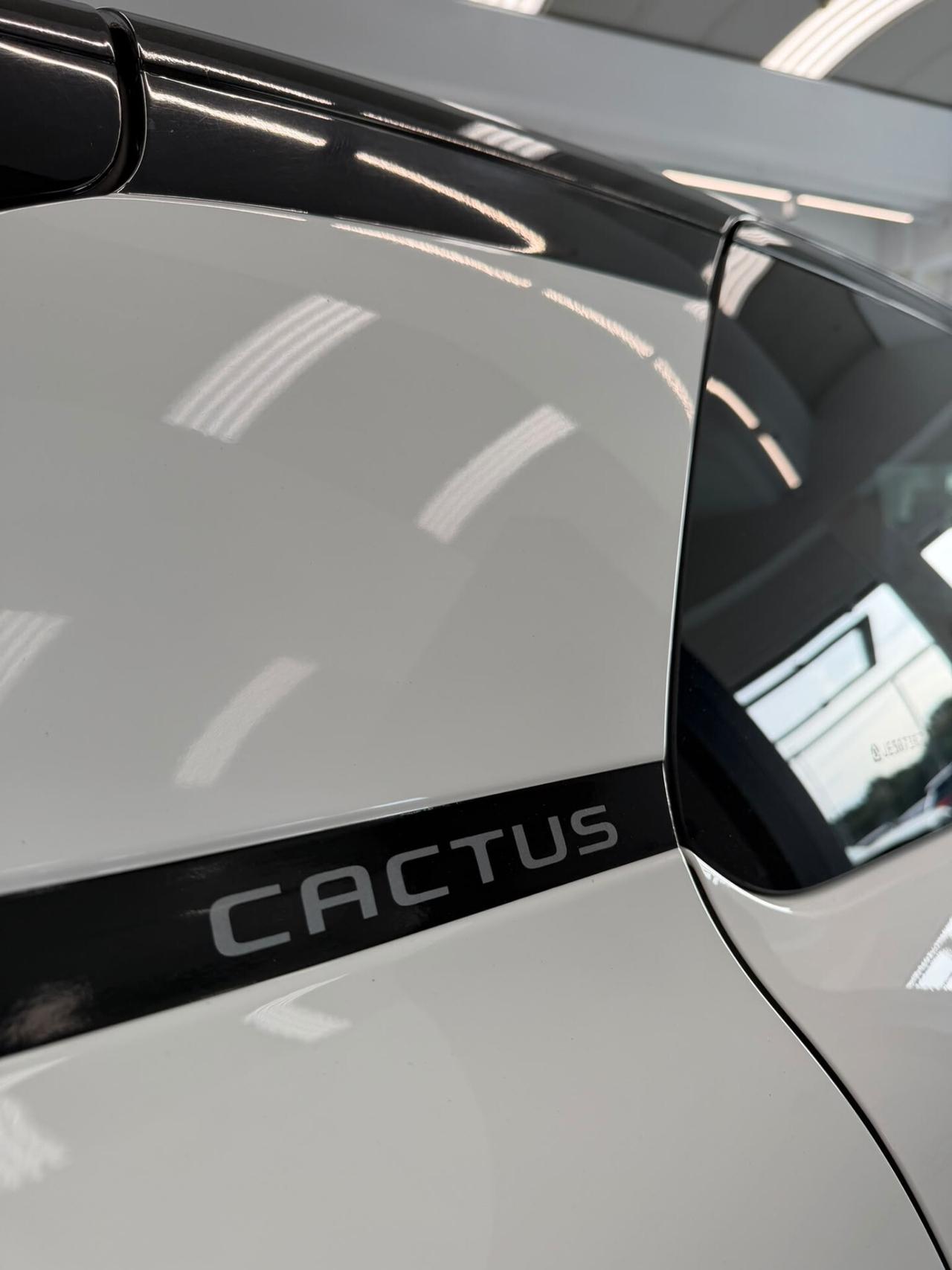 Citroen C4 Cactus BlueHDi 100 S&S Shine